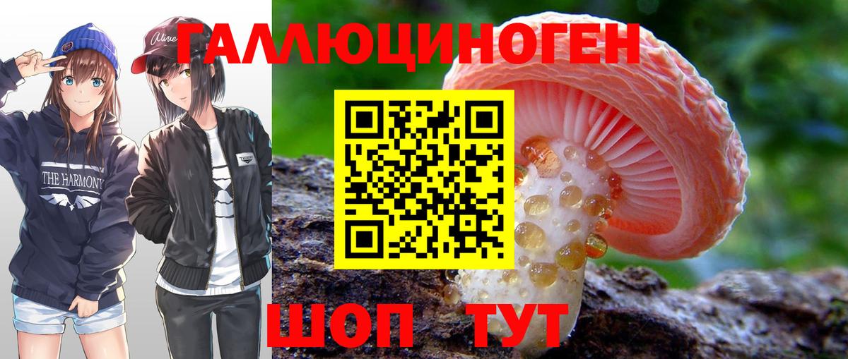 Псилоцибиновые грибы мицелий Воткинск